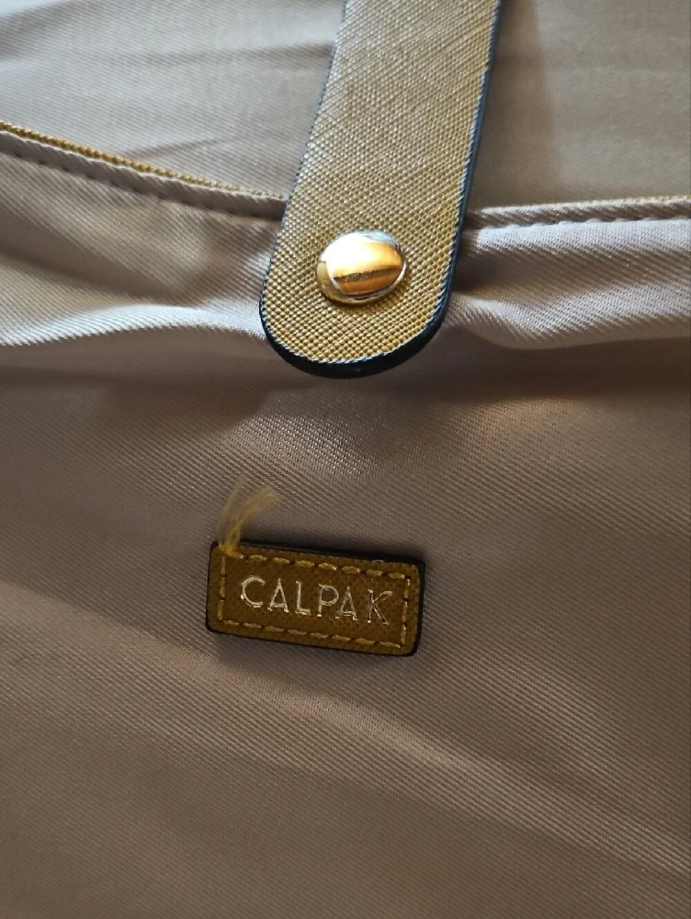 Calpak chic modern